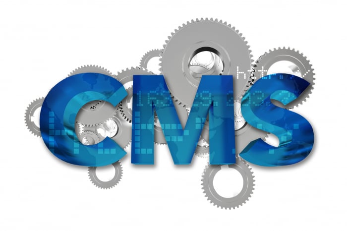 How To Determine If You Need A Custom Or An Off-The-Shelf CMS